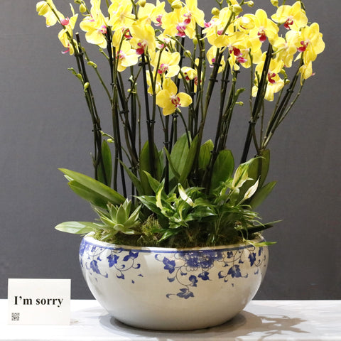 Yellow & Chinese Bowl