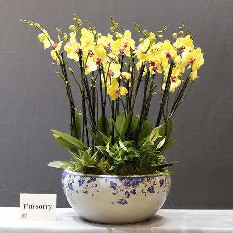 Yellow & Chinese Bowl