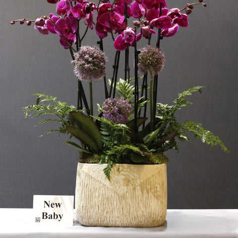 Gorgeous Purple and Allium