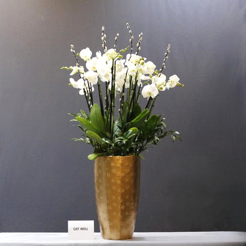 Amazing White & Gold