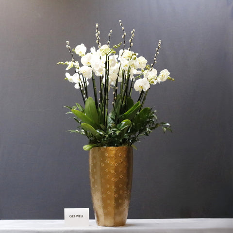 Amazing White & Gold