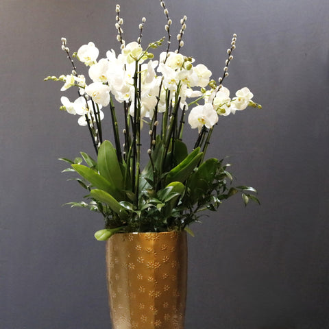 Amazing White & Gold