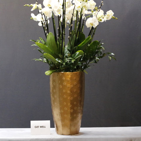 Amazing White & Gold