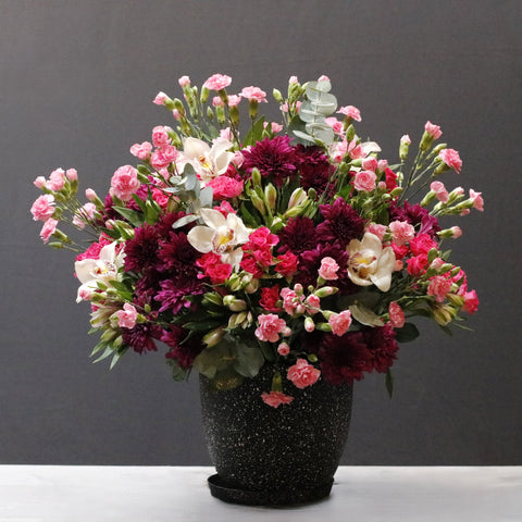 Blooming Pink