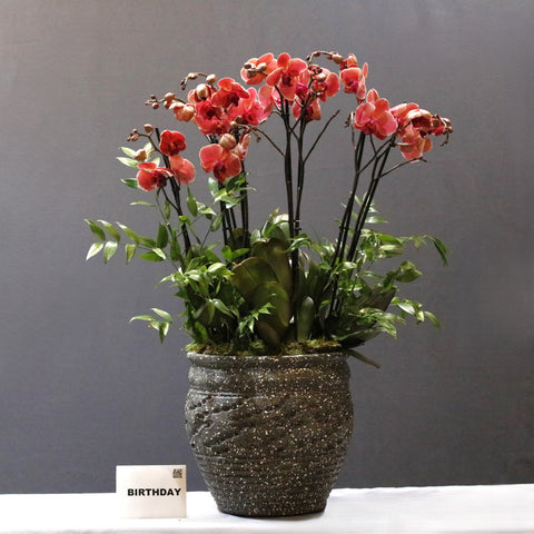 Red Design