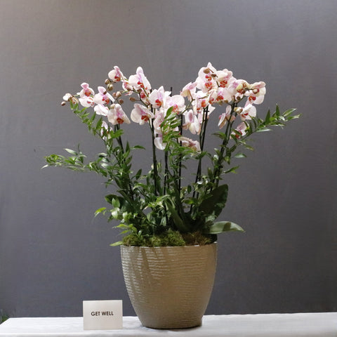 Blooming Pink & Ruscus