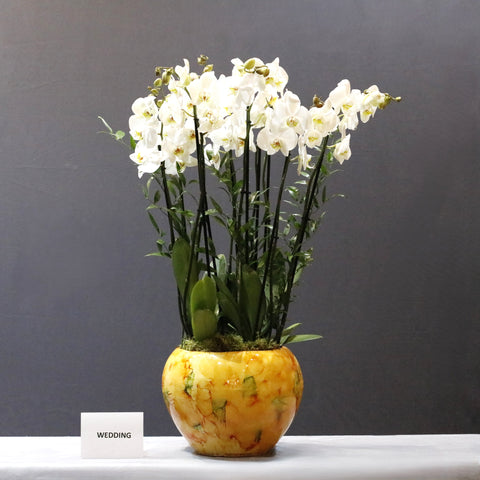 Gorgeous White Arrangement