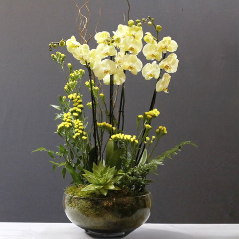 Light Yellow Arts