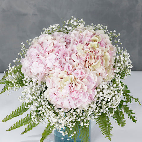 Hydrangeas Vase