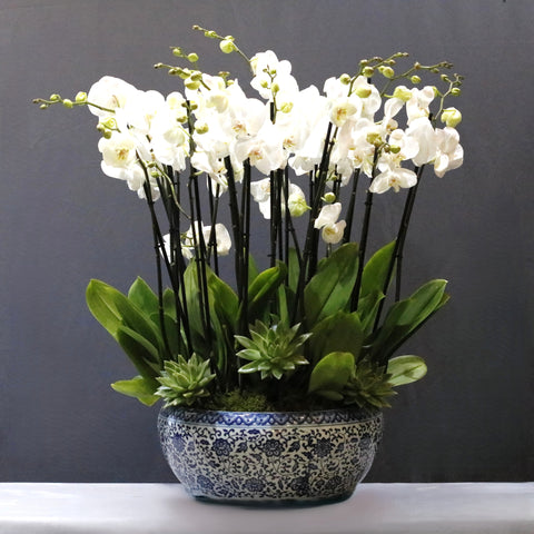 White  Art Arrangement
