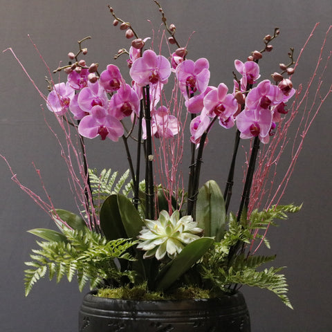 Gorgeous Pink