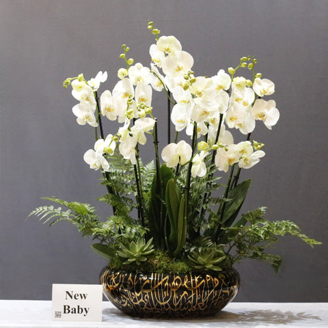 Beautiful Oval White