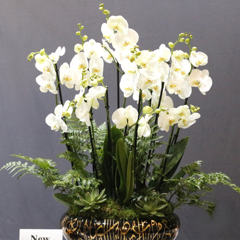 Beautiful Oval White