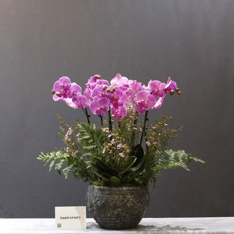 Pink & Black Bowl