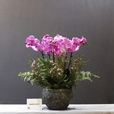 Pink & Black Bowl