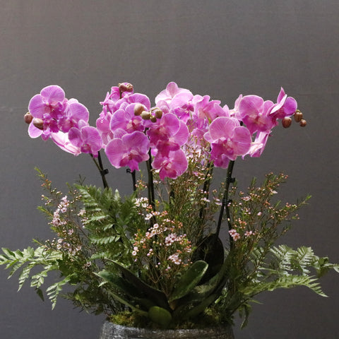 Pink & Black Bowl