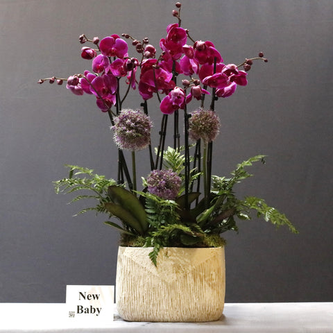 Gorgeous Purple and Allium