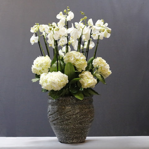 Orchid & Hydrengae