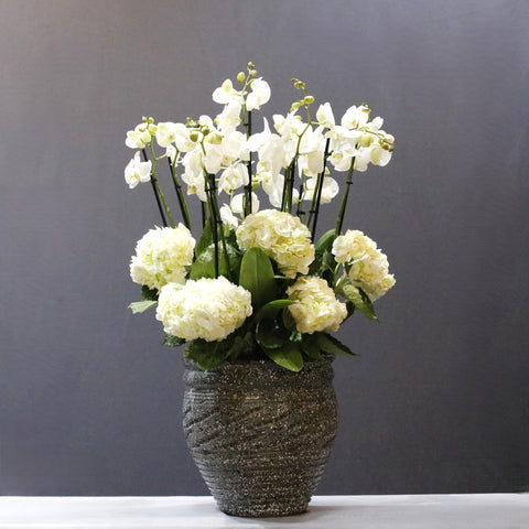 Orchid & Hydrengae