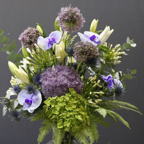 Purple & Blue