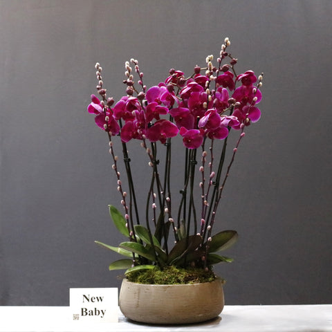 Purple & Willows