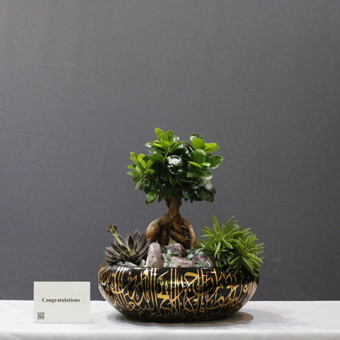 Calligraphy Garden