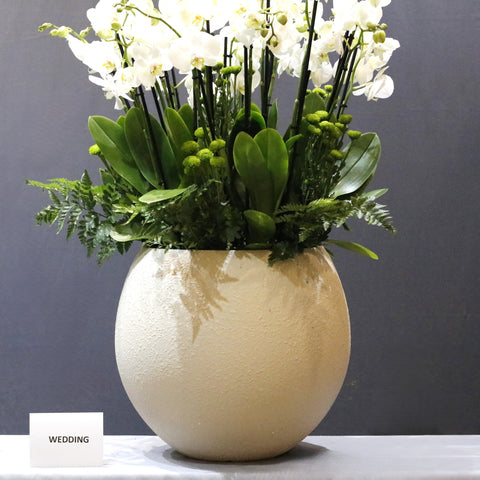 Cream Ball White