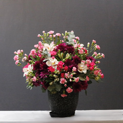 Blooming Pink