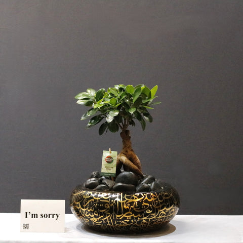 Bonsai