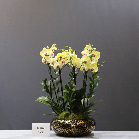 Yellow Garden