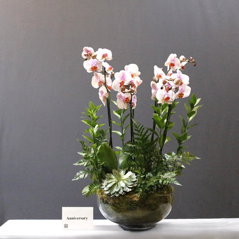 Orchid Glass Garden