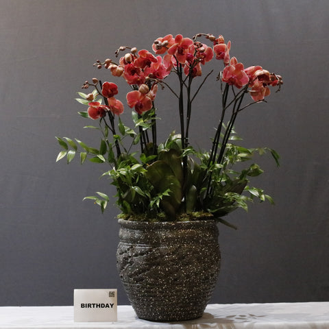 Red Design