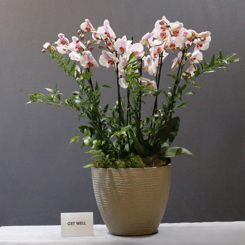 Blooming Pink & Ruscus