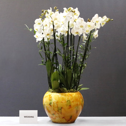 Gorgeous White Arrangement