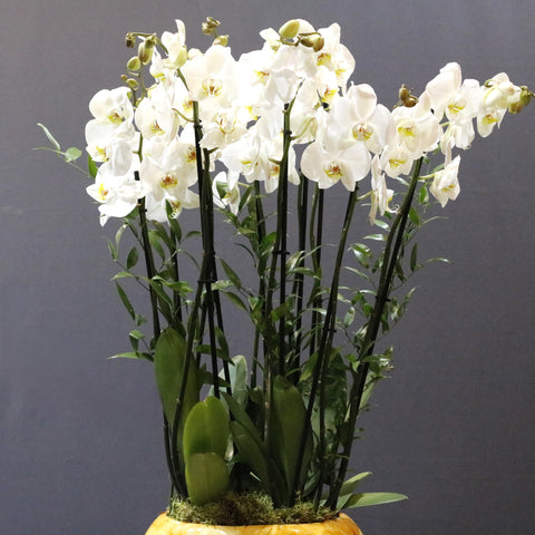 Gorgeous White Arrangement