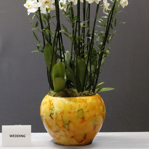 Gorgeous White Arrangement