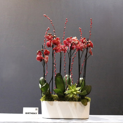 Gorgeous Red Art