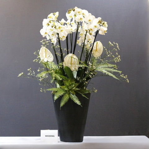 Fantastic White Art