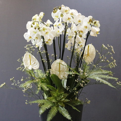 Fantastic White Art