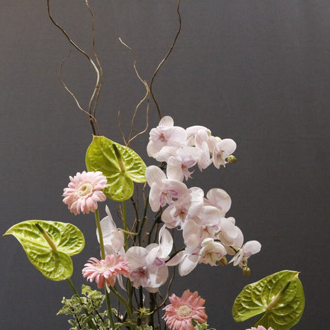 Green Anthurium