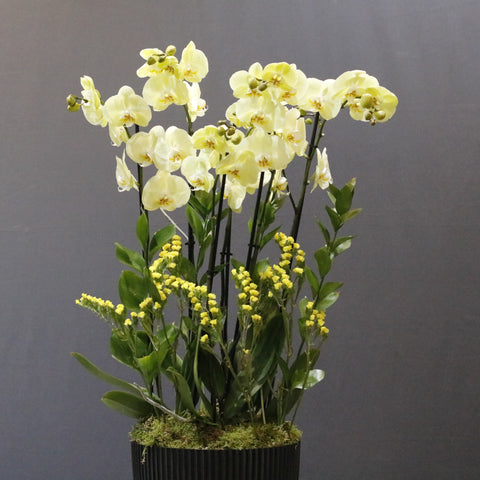Yellow  Art Arrangement