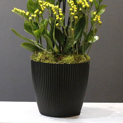 Yellow  Art Arrangement