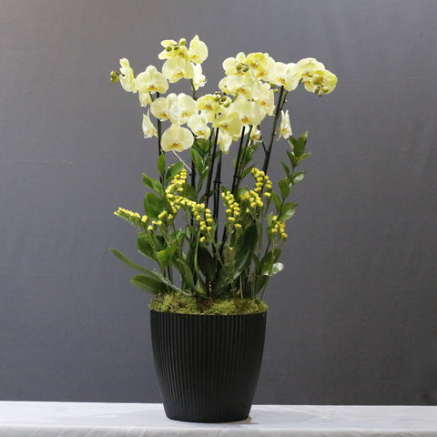 Yellow  Art Arrangement