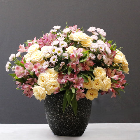 Simple  Flower Blooms