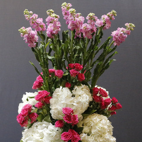 Lovely Pink Flowers