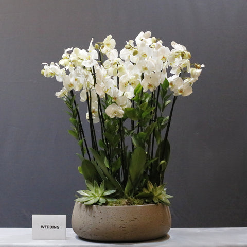 White  Bowl Arrangement