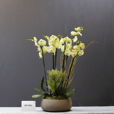 Amazing Yellow