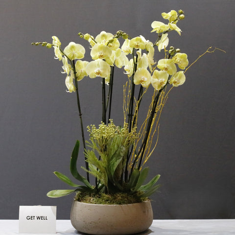 Amazing Yellow