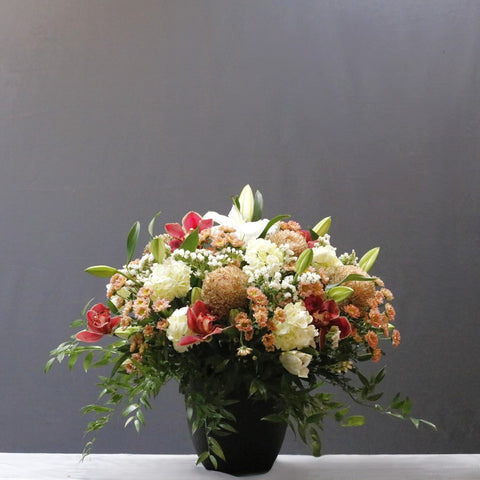 Exotic Flower  Colors